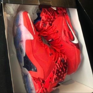 Nike Lebrons